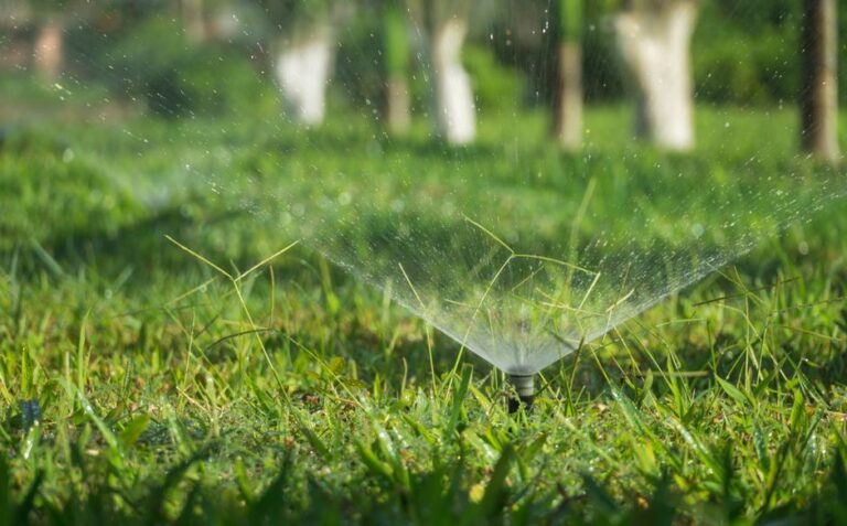 irrigation system