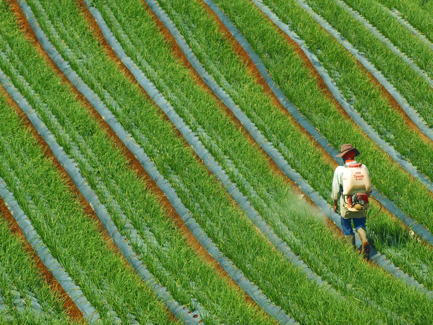 crop insurance